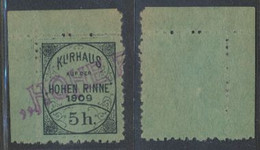 Hungary Romania 1909 Probably Unique Hohe Rinne 5h Hotel Post Stamp Error Cancelled With Resort Postmark - Emissions Locales
