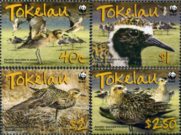 207321 MNH TOKELAU 2007 AVES DEL PACIFICO - Tokelau