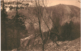 CPA  Carte Postale Belgique Flône Lez Amay Abbaye  Dame De L'intruction Chrétienne  Dans La Montagne   VM59114 - Amay