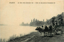 Strasbourg * Am Rhein Beim Altenheimer Hof * Bords Du Rhin Près De L'altenheimer Hof * Attelage - Strasbourg