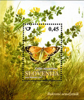 215474 MNH ESLOVENIA 2007 MARIPOSA - Spiders