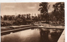 BEAUMONT LA RONCE CHATEAU DE LA HAUTE BARDE CENTRE D'EDUCATION PHYSIQUE ET SPORTIVE LA PISCINE TBE - Beaumont-la-Ronce