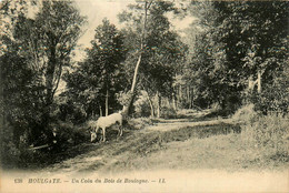 Houlgate * Un Coin Du Bois De Boulogne - Houlgate