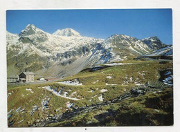 AK 092367 SWITZERLAND - Splügenpass - Berghaus Mit Schwarzhörner - Splügen