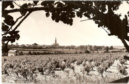 1J3 --- 44 BOURGNEUF EN RETZ Vue Des Côteaux - Bourgneuf-en-Retz