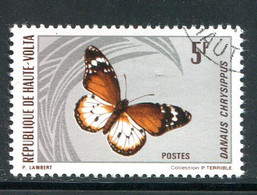HAUTE VOLTA- Y&T N°245- Oblitéré (papillon) - Haute-Volta (1958-1984)