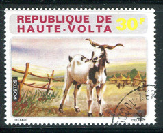 HAUTE VOLTA- Y&T N°281- Oblitéré - Haute-Volta (1958-1984)