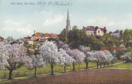 C60) BAD HALL - OÖ - Allee Mit Blühenden Bäumen - Richtung Kirche U. Häuser ALT ! 1924 - Bad Hall