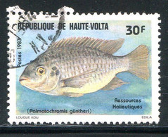 HAUTE VOLTA- Y&T N°602- Oblitéré (poisson) - Haute-Volta (1958-1984)