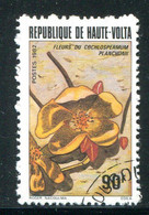 HAUTE VOLTA- Y&T N°585- Oblitéré - Haute-Volta (1958-1984)