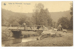 Vallée De L'Hermeton  -  Pont Georgine - Hastière