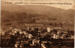 CPA BELMONT - Vue Panoramique Prise Du Sommet De La Montagne (430287) - Belmont De La Loire