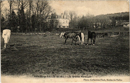 CPA NESLES-la-VALLÉE - Les Grands Herbages (350193) - Nesles-la-Vallée