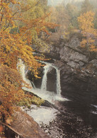 Falls Of Rogie, Ross And Cromarty, Scotland - Ross & Cromarty