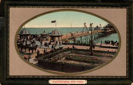 Eastbourne (Sussex) The Pier - The Milton Sellwell Series N° 236 - Eastbourne