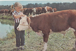 A Proud 4-H Girl Raised Her Own Witheface On Father's Farm - Andere & Zonder Classificatie