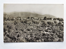 Cpsm 83 Besse Sur Issole Vue Générale - Besse-sur-Issole