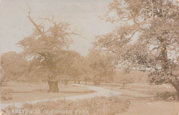 CPA Royaume Unis - Kingston - Richmond Park - Parc Richmond - Carte Photo - Chemin De Promenade - Sonstige & Ohne Zuordnung