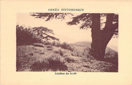 CPA Afrique - Algérie - Blida - Chréa Pittoresque - Lisière De Forêt - Paysage - Nature - Vue - Blida