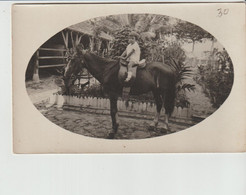 La Trinité (Martinique) Carte Photo - Promenade à Cheval - La Trinite