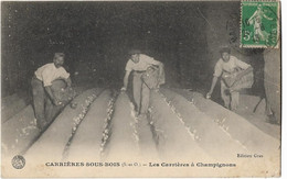 78  Carrieres Sous Bois  -  Les Carrieres A Champignons - Carrières-sur-Seine