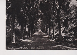 CASTELLAMMARE DI STABIA  NAPOLI  VIALE  QUISISANA  VG  1954 - Castellammare Di Stabia