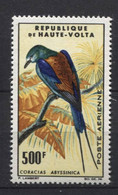170 HAUTE VOLTA 1965 - Y&T A 20 - Oiseau - Neuf ** (MNH) Sans Charniere - Haute-Volta (1958-1984)