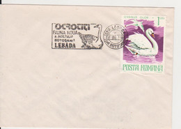 BIRD BIRDS SWAN GEESE ROMANIA SPECIAL POSTMARK - Oies