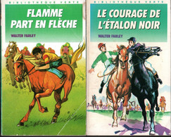 Lot  2 Romans * Flamme Part En Flèche & Le Courage De L'étalon Noir - Bibliothèque Verte