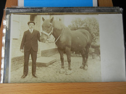 TRES BELLE PHOTO D'UN HOMME AVEC SON CHEVAL- PROVIENT D'UNE FAMILLE DE GRAND-HALLET- BE - RARE !!! - Hannut