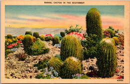 Cactus Barrel Cactus In The Southwest - Cactus