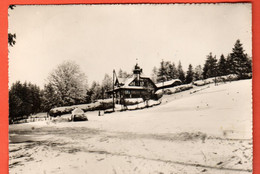 KAQ-07  Buffet De La Gare Mont-Soleil Sur Saint-Imier Photo Brugger  Circ. 1955 GF - Brügg