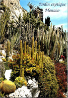 (2 M 28) (M+S) Jardin Exotique De Monaco (plante Grasse Et Cactus) - Cactussen