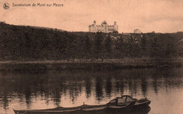 Mont Sur Meuse - Sanatorium - Yvoir