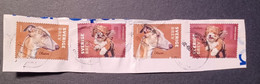 Sweden Svezia 2020 Dogs 4 Stamps On Fragment - Oblitérés