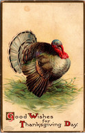 Thanksgiving With Turkey 1908 - Thanksgiving