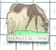 810i Pin's Pins / Beau Et Rare / ANIALUX / CHEVAUX JUMENT ET POULAIN BAGNOLES DE L'ORNE Pas Voitures De La Mayenne ! - Animaux