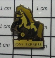 810i Pin's Pins / Beau Et Rare / ANIMAUX / CHEVAL PONEY PONY EXPRESS - Animaux