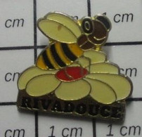 810i Pins Pin's / Rare & Belle Qualité / ANIMAUX / ABEILLE RIVADOUCE - Animaux