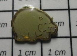 817 Pin's Pins / Beau Et Rare / ANIMAUX / MINI PIN'S HIPPOPOTAME GRIS CLAIR - Animaux