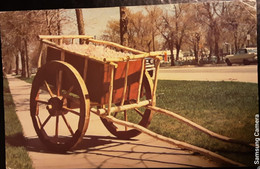Portage La Prairie - Replica Of Red River Cart - Autres & Non Classés