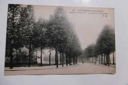 D 94 - Fontenay Sous Bois - Bois De Vincennes - L'avenue De Fontenay - Fontenay Sous Bois