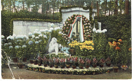 CPSM ALLEMAGNE HESSE GRIESHEIM - Monument En L'honneur Des Français Et Anglais Décédés Fleuri à La Toussaint - Griesheim