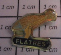 2522 Pin's Pins / Beau Et Rare / ANIMAUX / FLATRES MAIN TENANT UN POISSON - Animaux