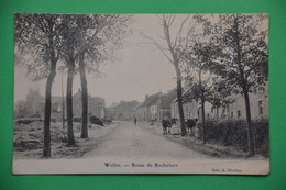 Wellin 1920: Route De Rochefort Animée - Wellin