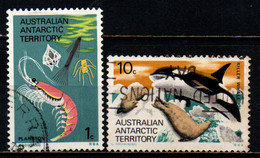 TERRITORI DELL'ANTARTICO - 1973 - Plankton And Krill Shrimp, Killer Whale Hunting Seals - USATI - Used Stamps