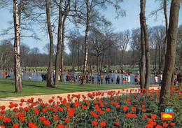 76 - Le Havre - Le Bois De Montgeon - Le Lac Aux Cygnes - Forêt De Montgeon