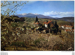 CERET "cité De La Cerise" Au Fond Le Massif Du Canigou. - Ceret