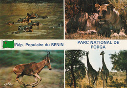 BENIN....  Parc National De PORGA  .edit Sapec - Benin
