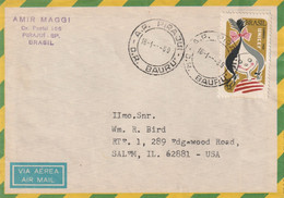 Brazil Old Cover Mailed - Lettres & Documents